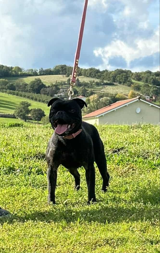 Under hill d'ultime passion